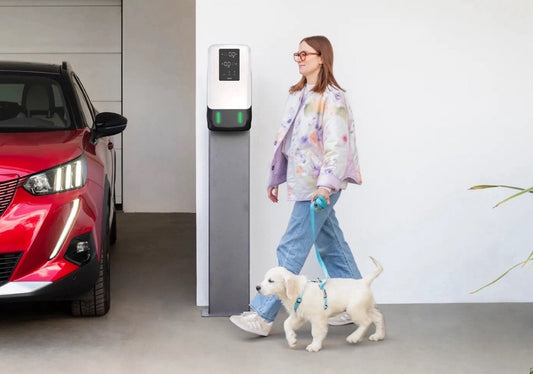 Bornes de recharge : pourquoi tous les parkings d'immeubles neufs doivent être pré-équipés